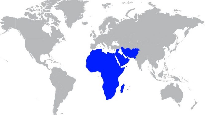 grey world map highlighting Middle East and Africa in blue