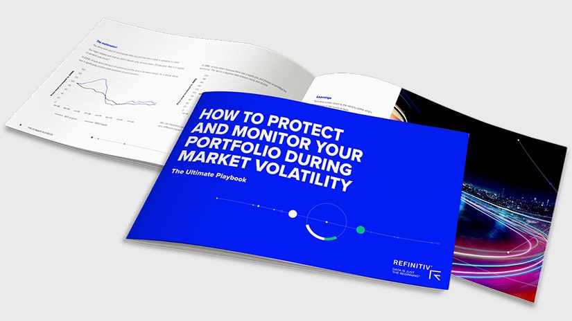 A front cover photo of the ultimate portfolio risk playbook