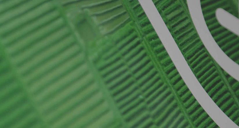 Closeup of green computer chip