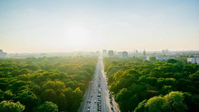 Aerial view of highway amidst trees against clear sky