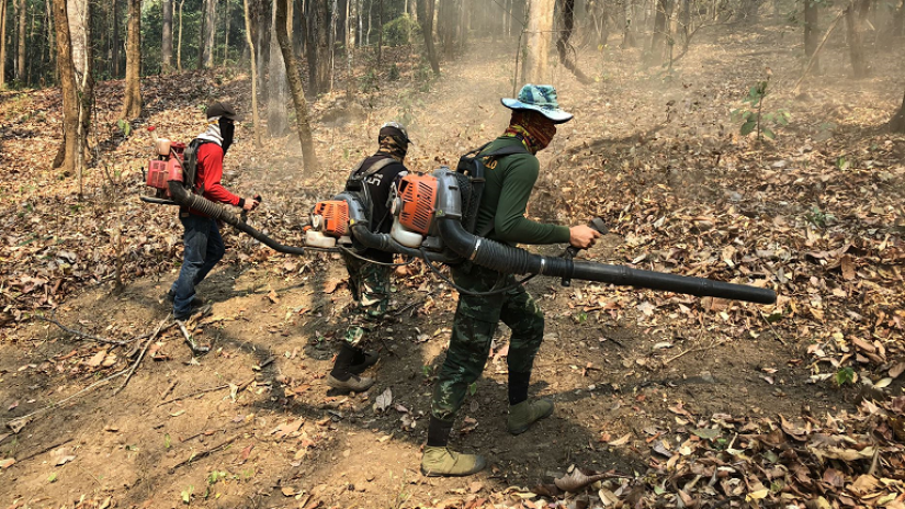 fighting forest fires in Thailand